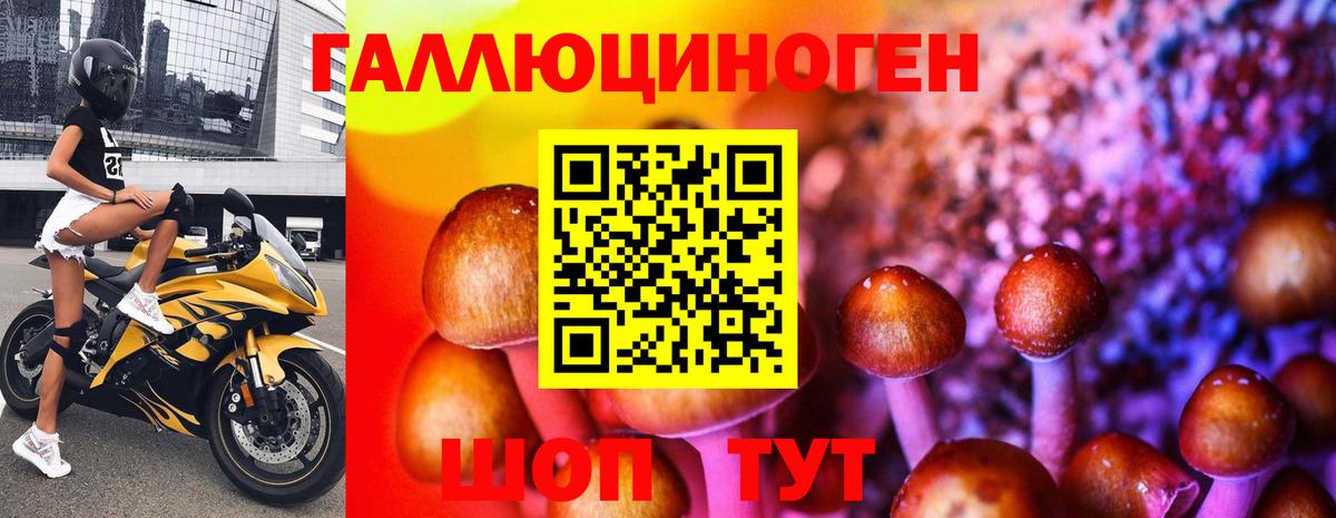 Псилоцибиновые грибы Cubensis Бирск