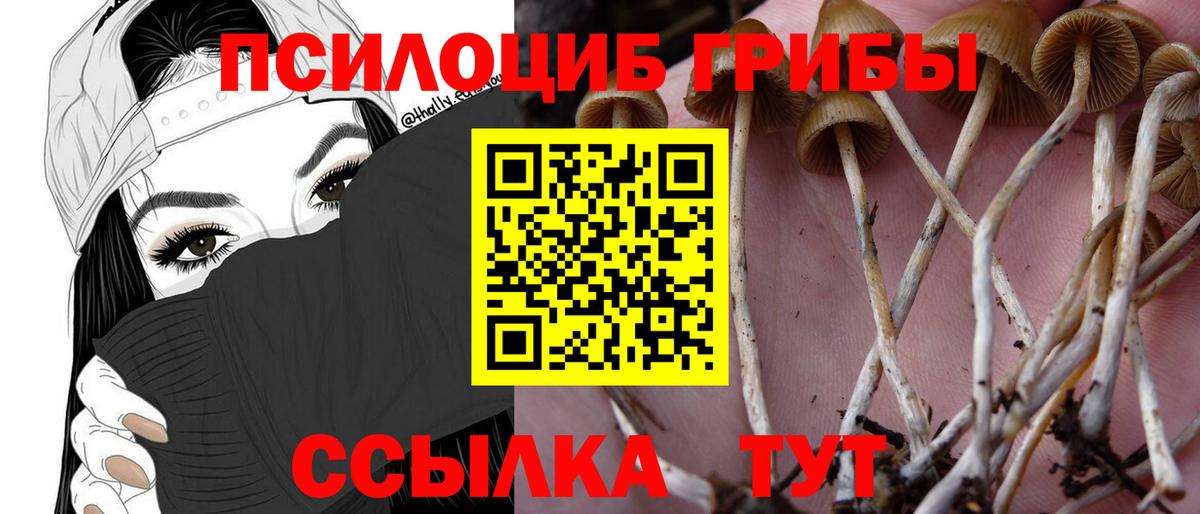 Псилоцибиновые грибы Psilocybine cubensis  Вход с VPN  Бирск 